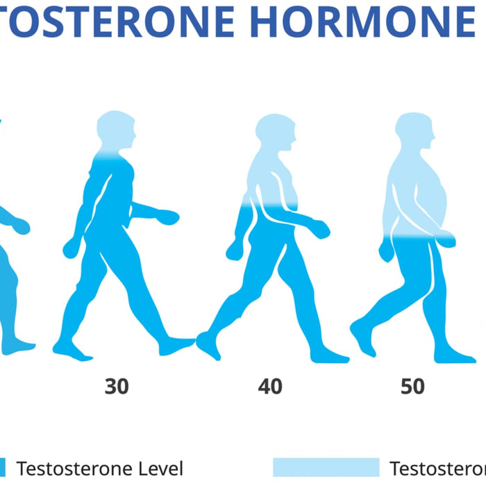 Méthodes naturelles pour stimuler la testostérone
