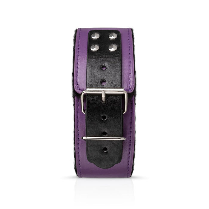 Bedroom Fantasies Purple Apprentice Kit De Bondage