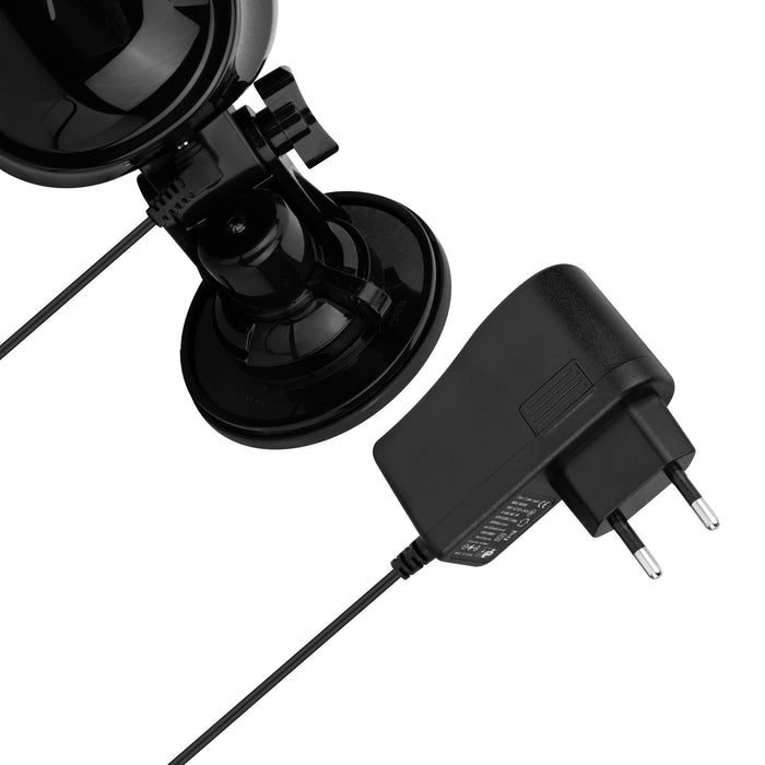 Teazers Dildo Vibromasseur Va et Vient 19 cm