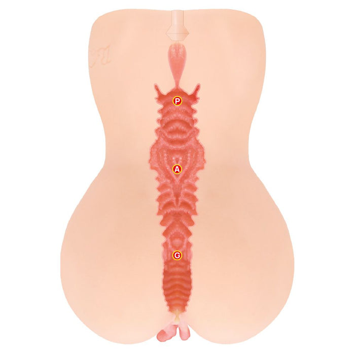 Kokos Onahole Edition Double Layer XL Vagin