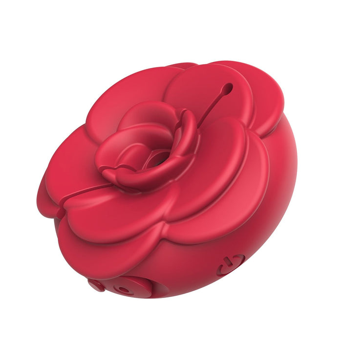 Teazers Pinces à Seins Vibrantes