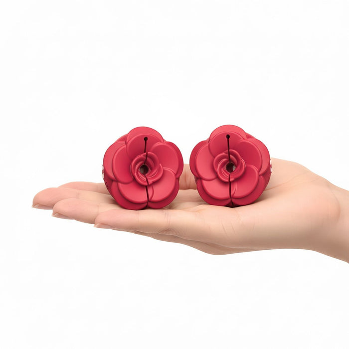 Teazers Pinces à Seins Vibrantes