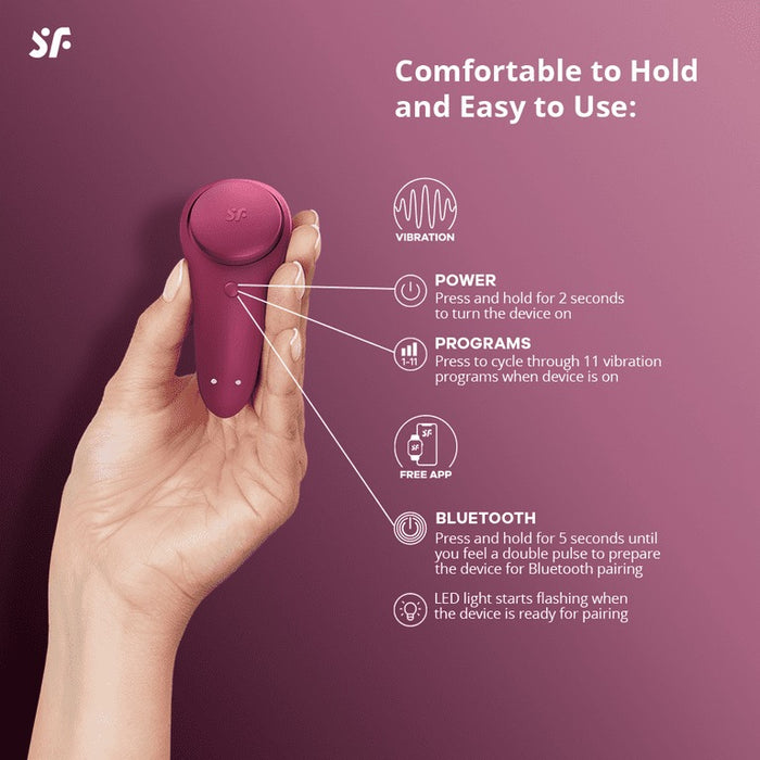 Satisfyer Sexy Secret Panty Vibromasseur Avec App